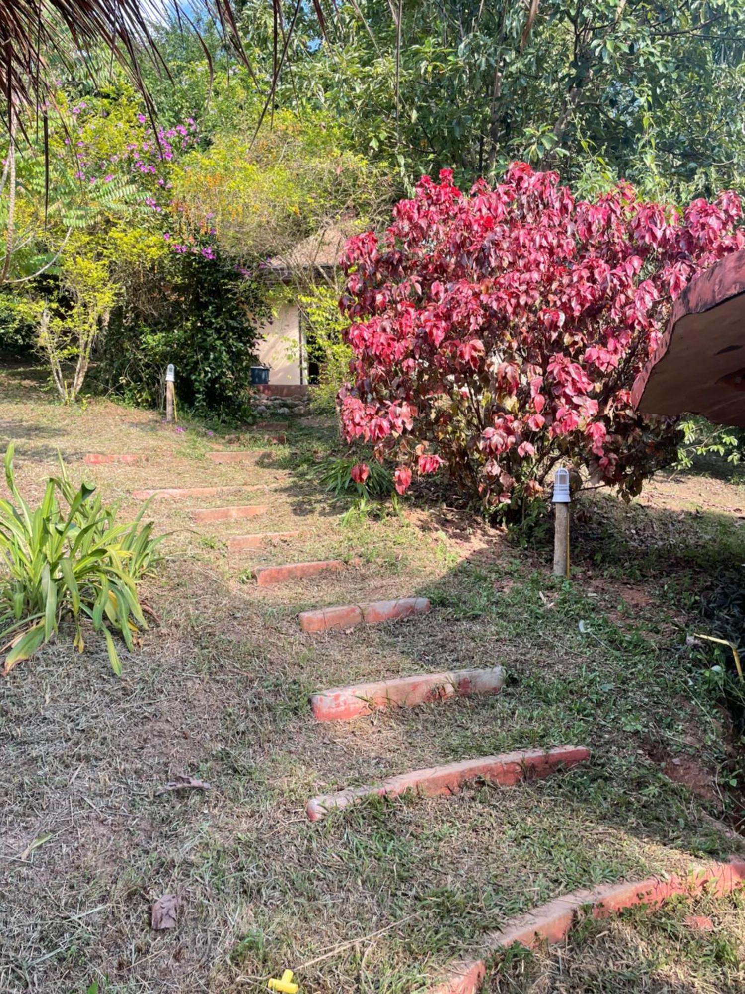 Chiang Dao Roundhouses 외부 사진