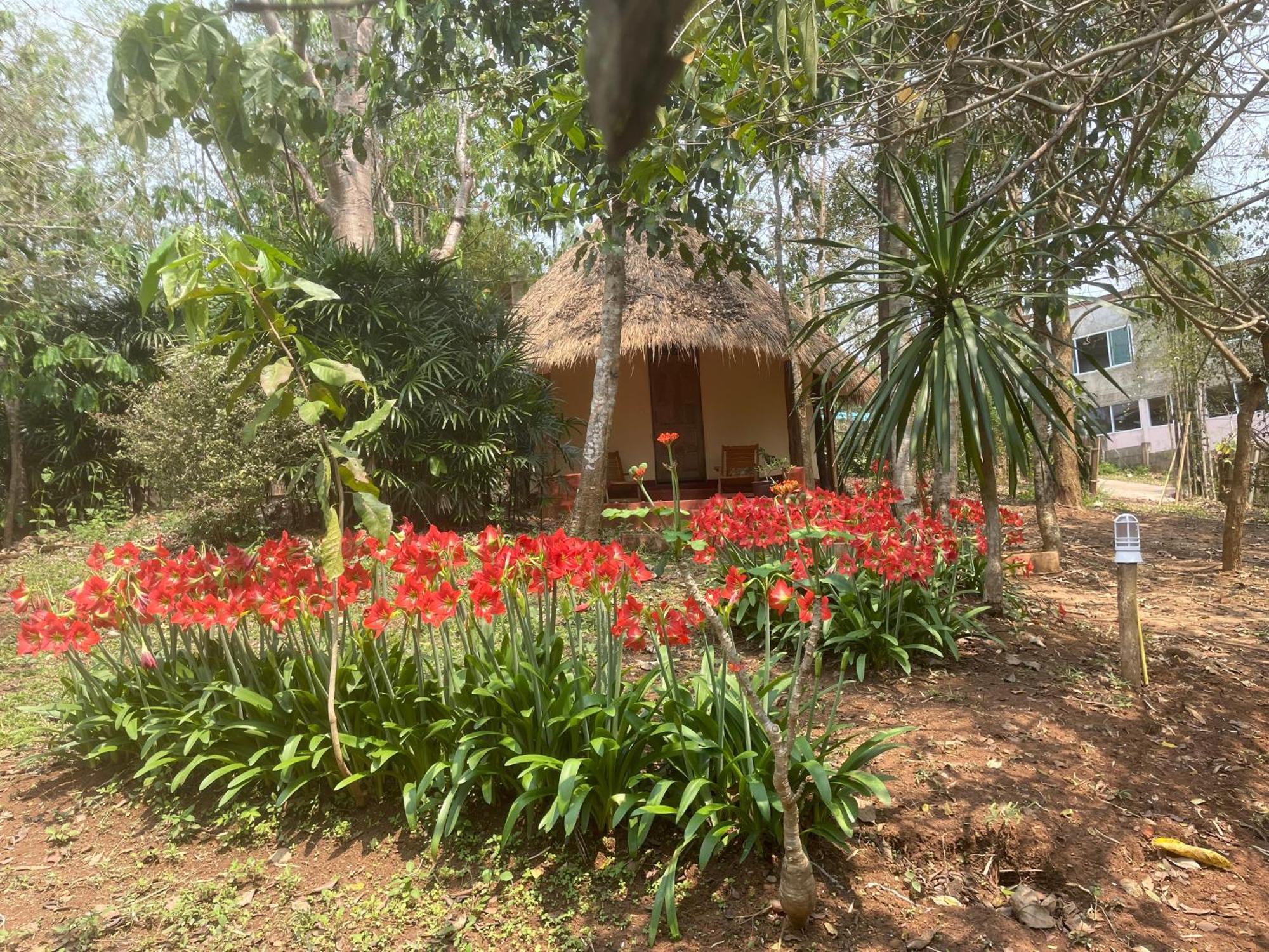 Chiang Dao Roundhouses 외부 사진