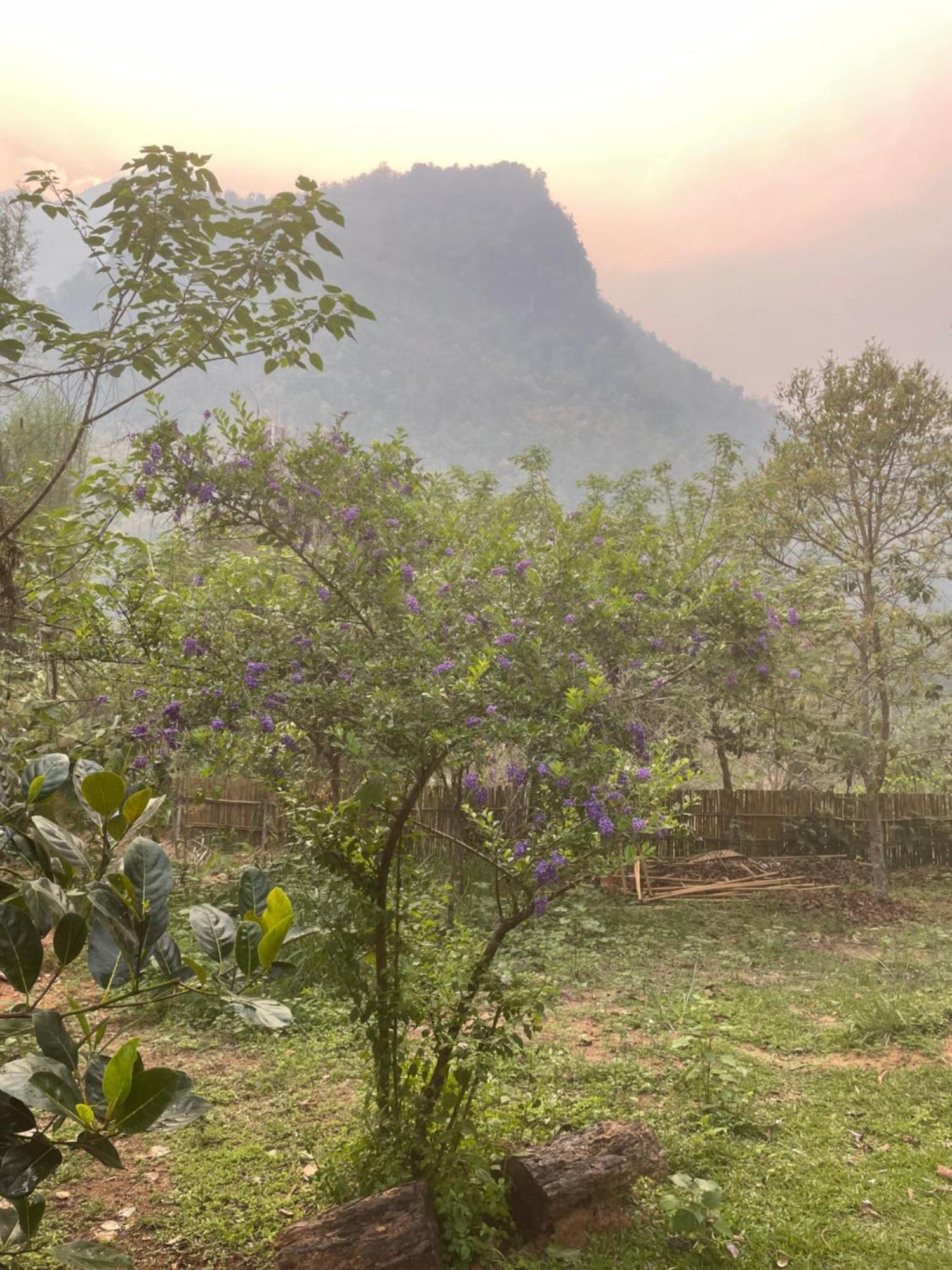 Chiang Dao Roundhouses 외부 사진