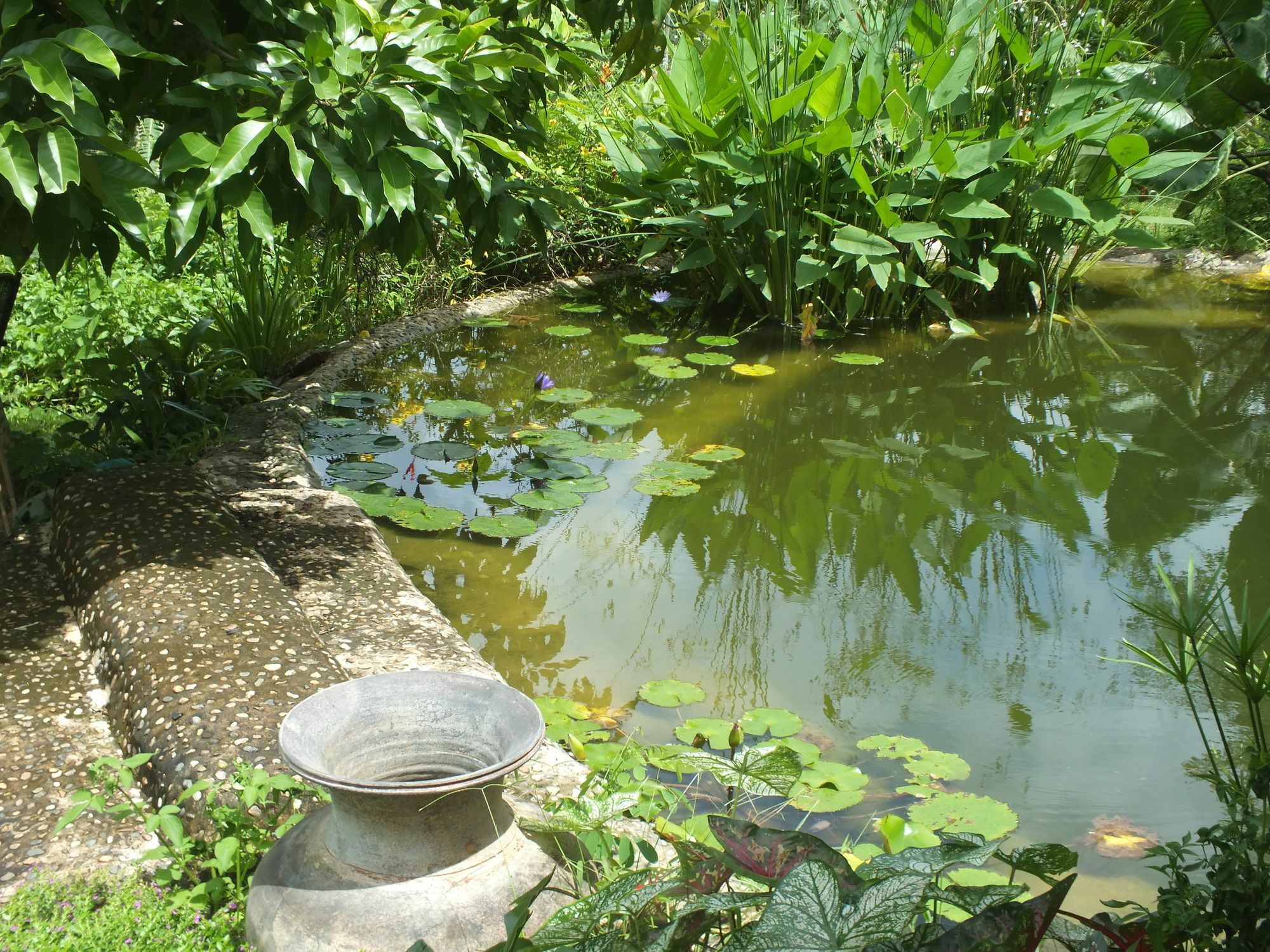 Chiang Dao Roundhouses 외부 사진